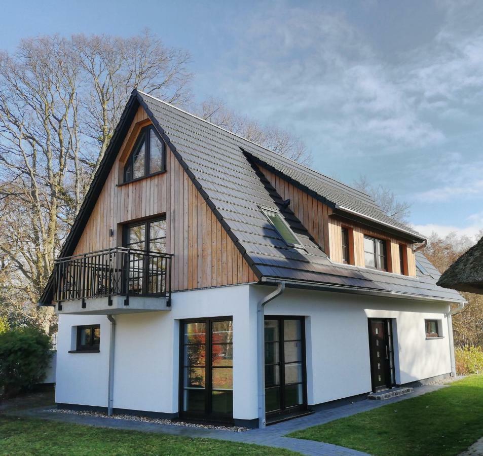 Darsser Strandgut - Haus Ahrenshooper Holz Exteriör bild